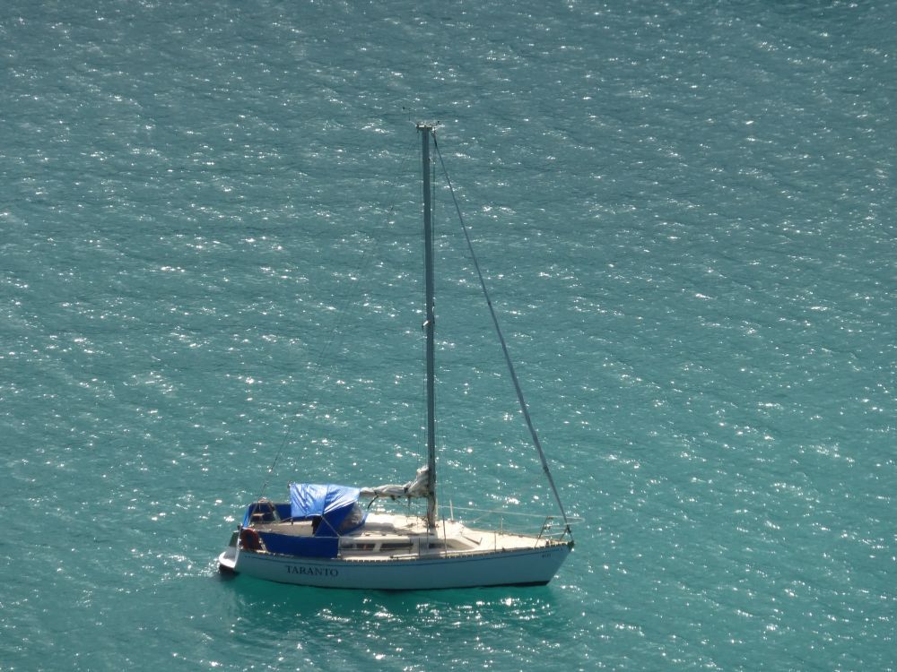 2015 Photo collection