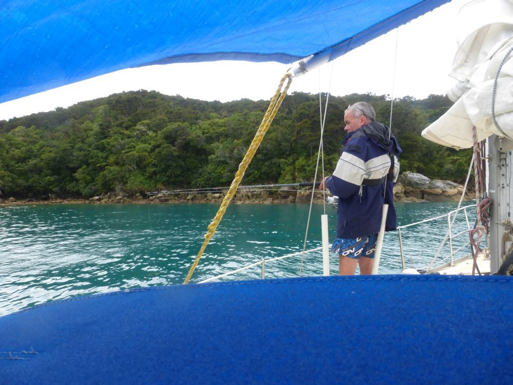 2015 Photo collection