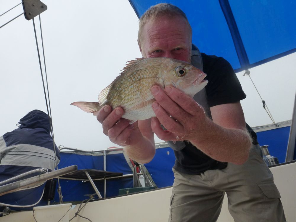 2015 Photo collection