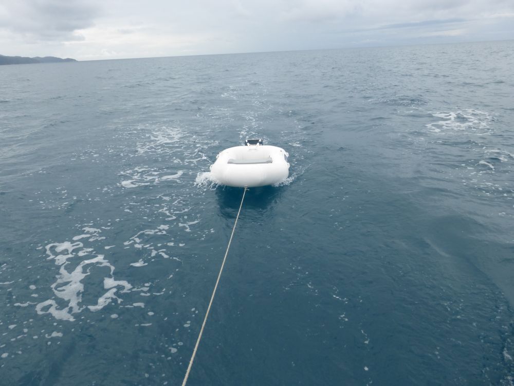 2015 Photo collection