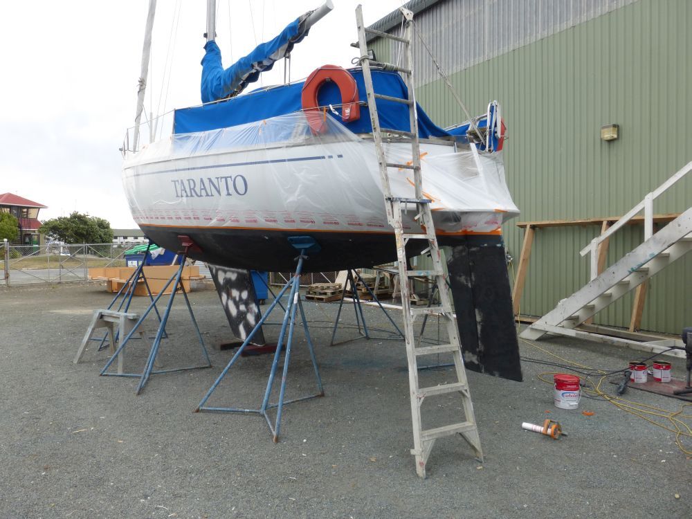 2015 Photo collection