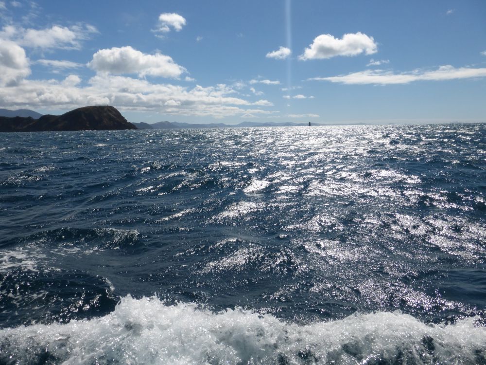 2015 Photo collection