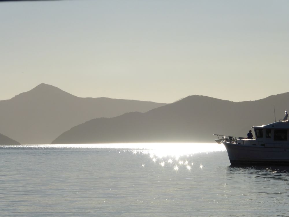 2015 Photo collection