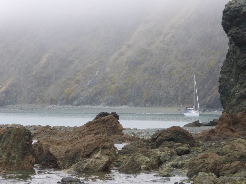 2015 Photo collection