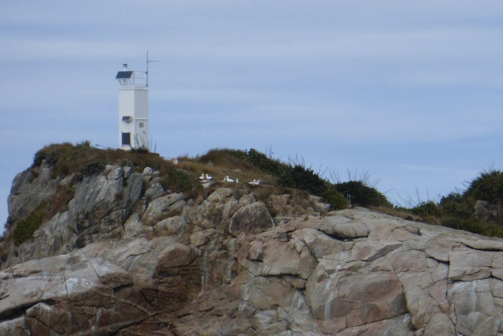 2016 Photo collection