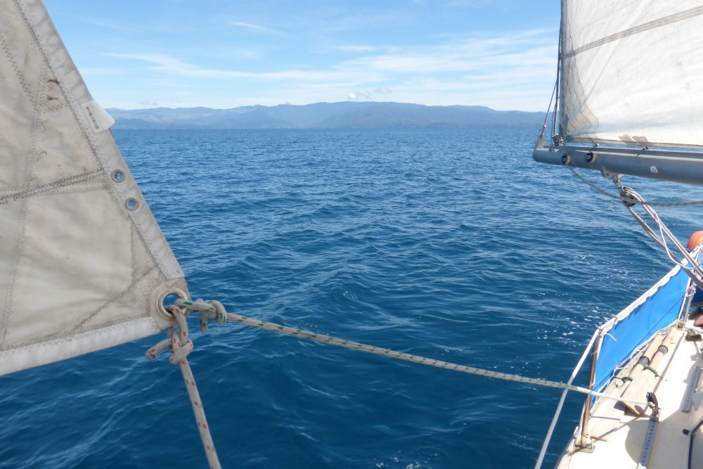 2016 Photo collection