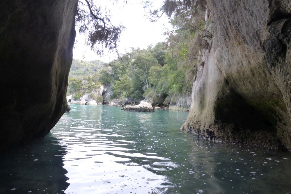 2016 Photo collection