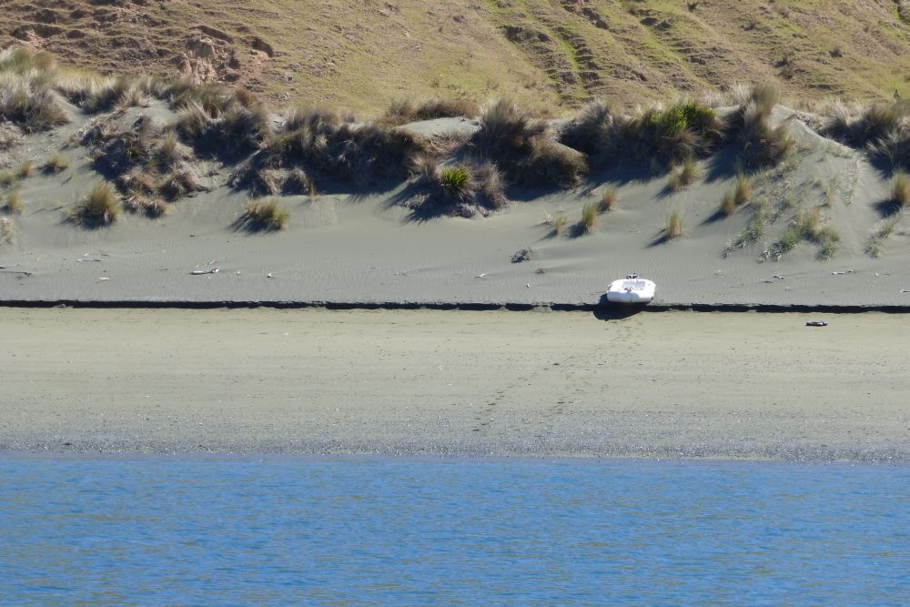 2016 Photo collection