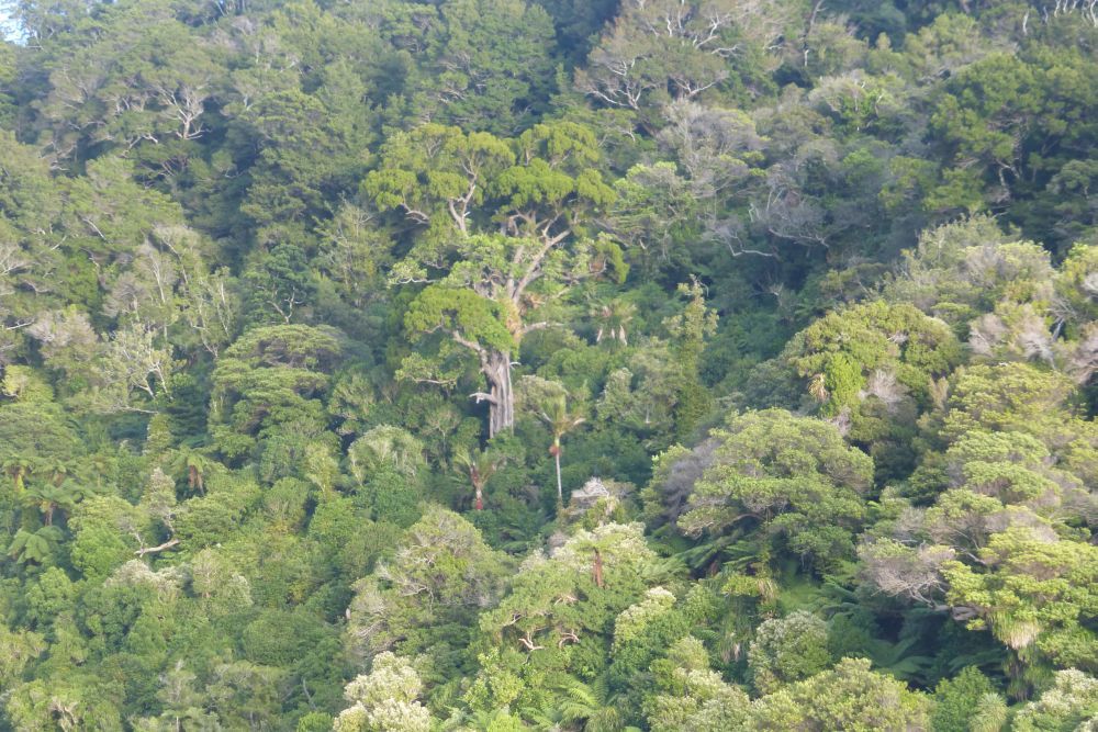 2016 Photo collection