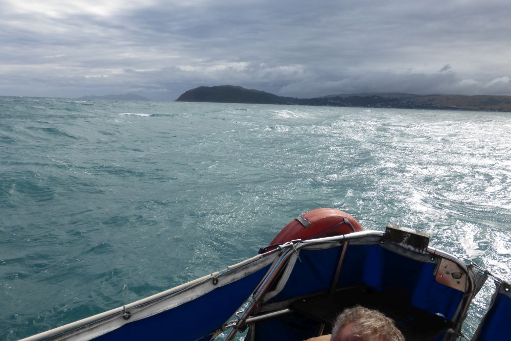 2016 Photo collection