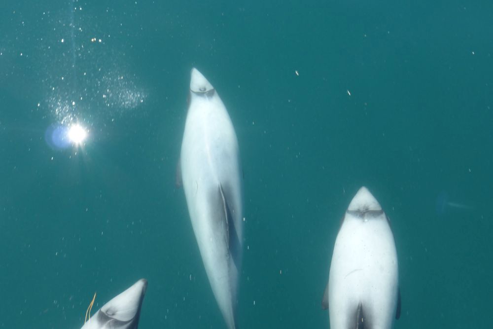 2016 Photo collection