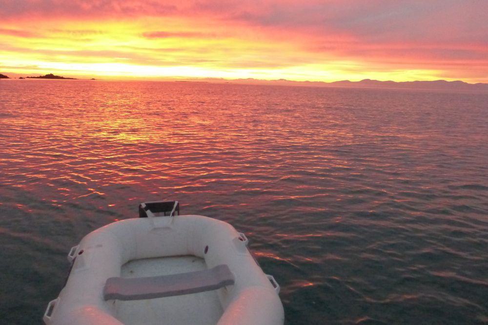 2016 Photo collection