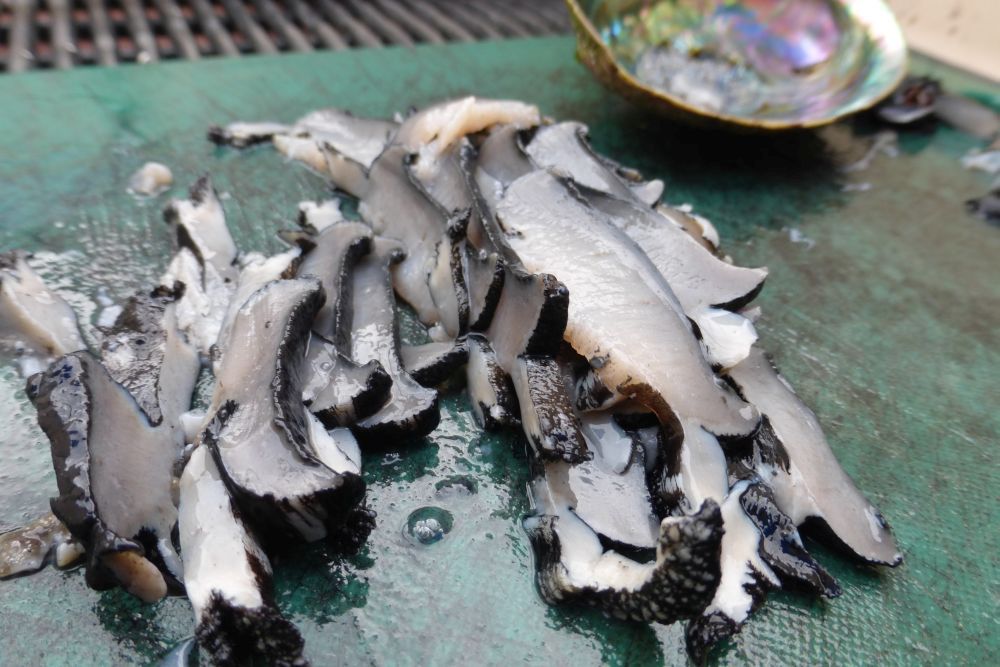 2016 Photo collection