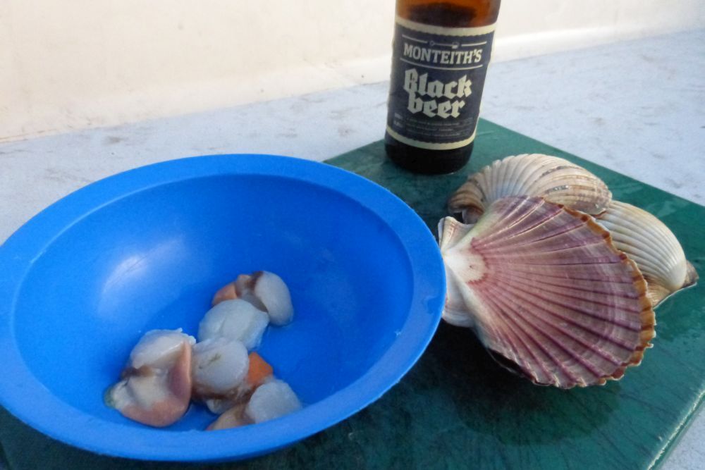 2016 Photo collection