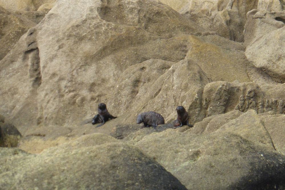 2016 Photo collection