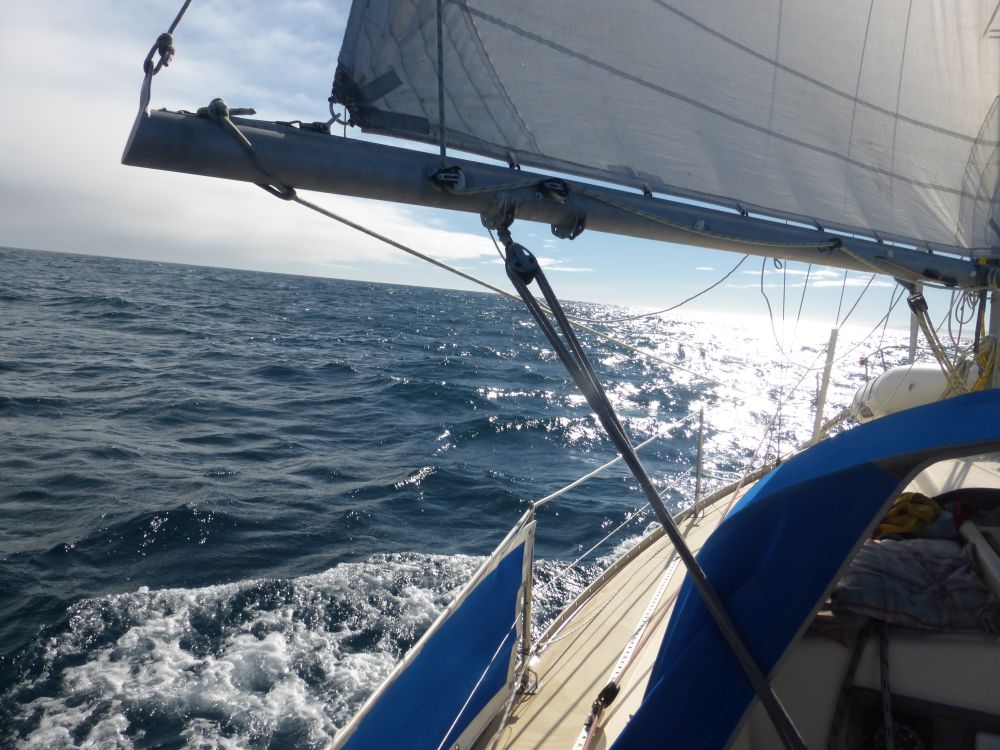 2017 Photo collection