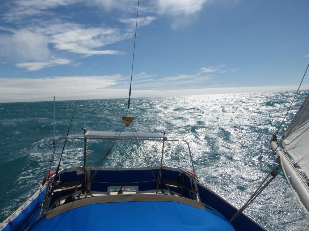 2017 Photo collection