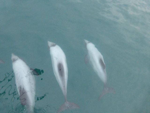 2017 Photo collection