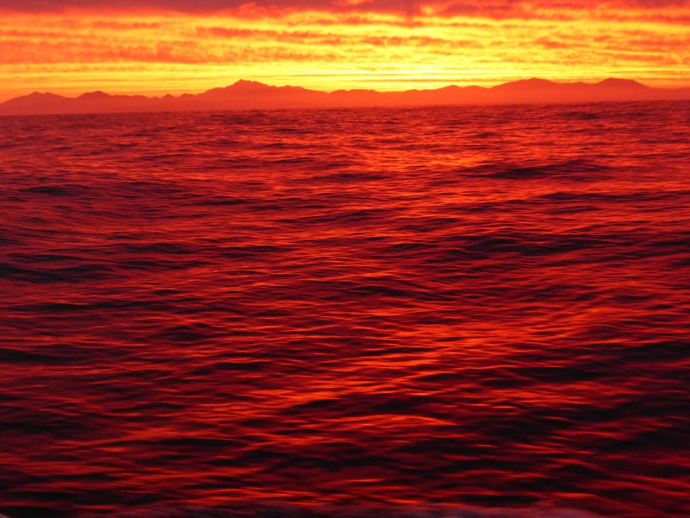 2017 Photo collection