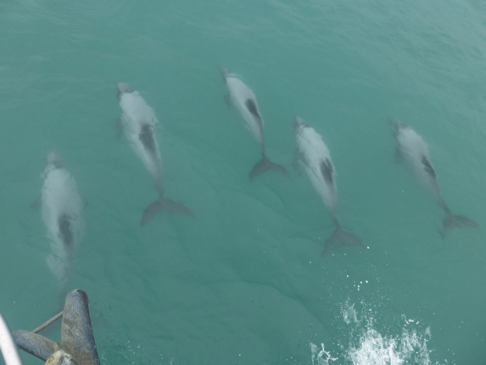 2017 Photo collection