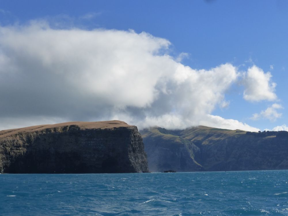 2017 Photo collection