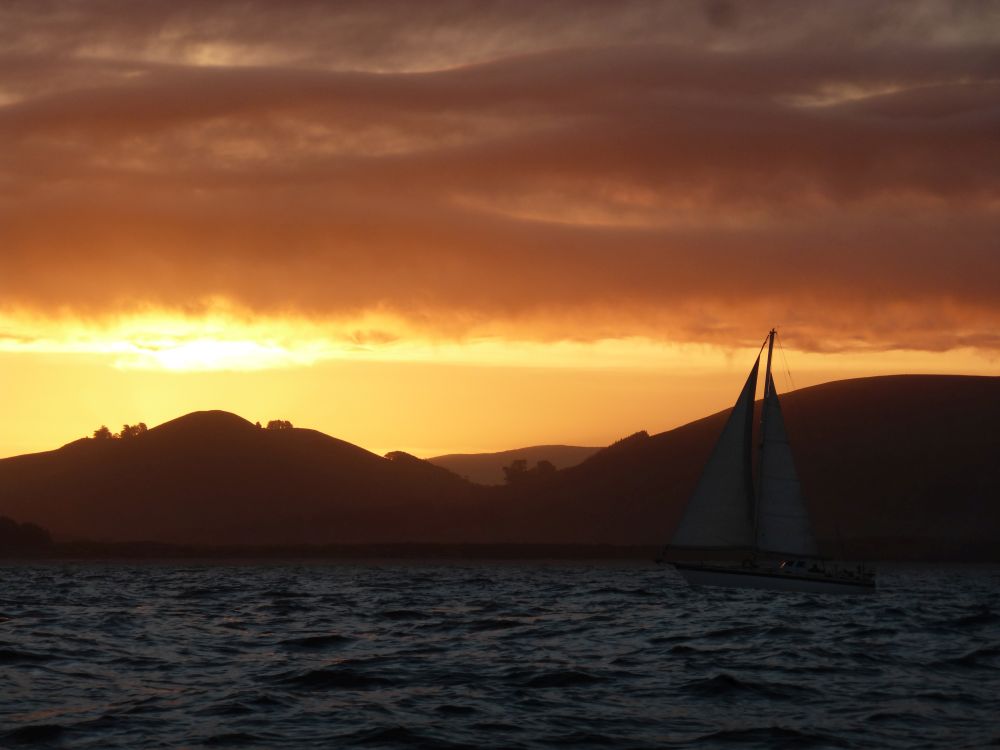 2017 Photo collection