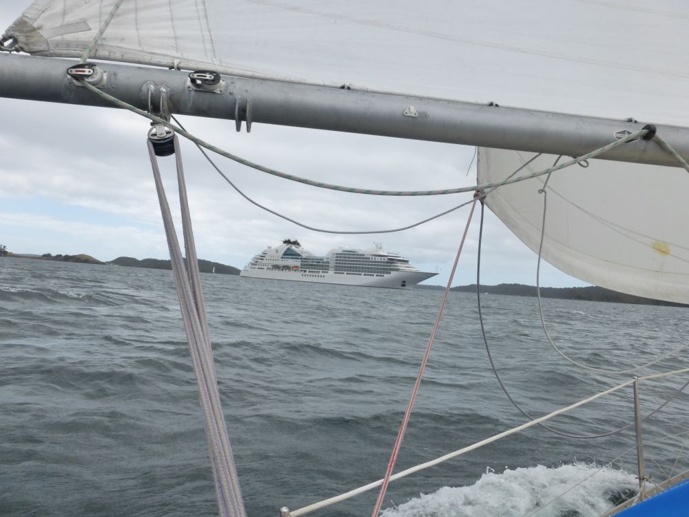 2017 Photo collection