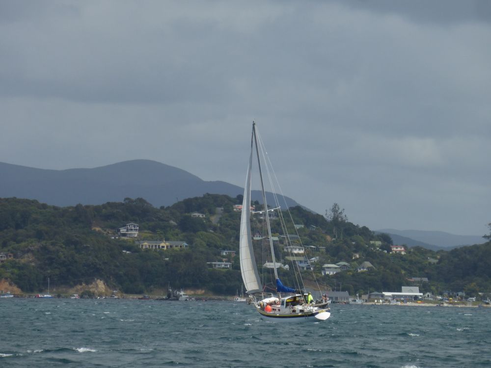 2017 Photo collection