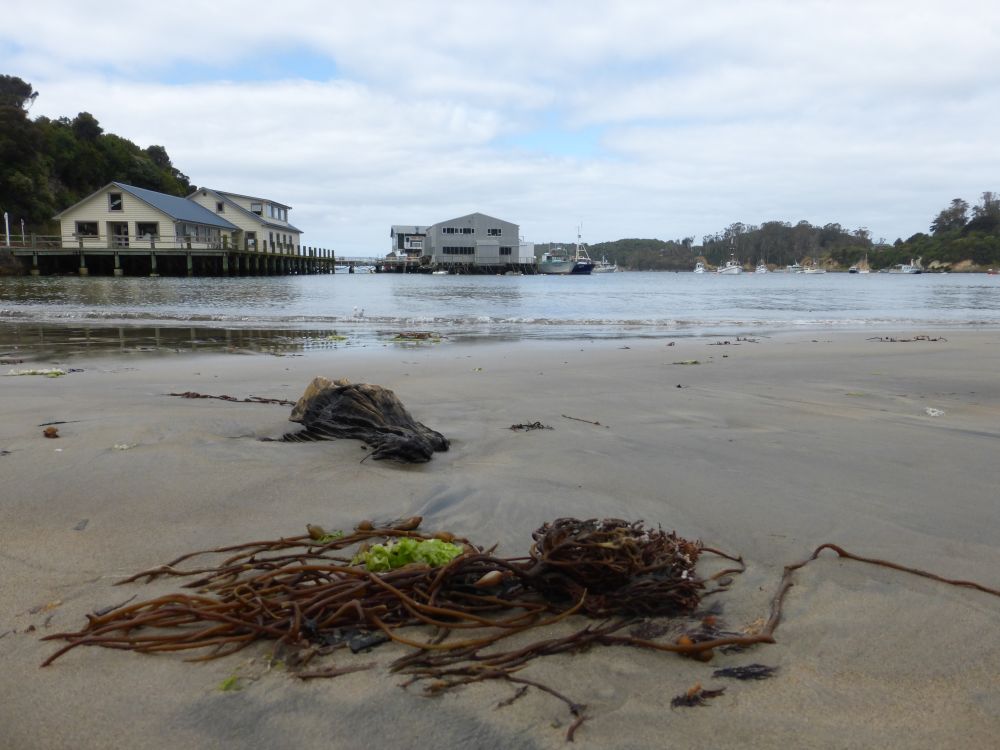 2017 Photo collection