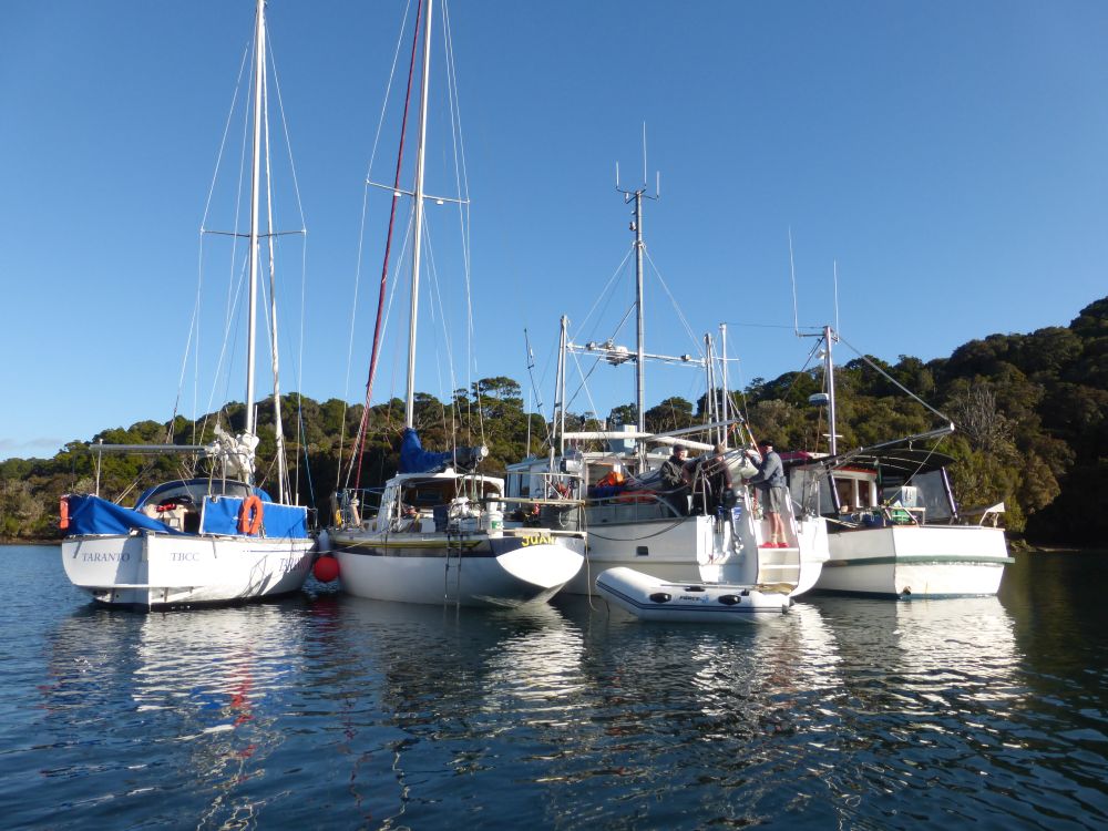 2017 Photo collection