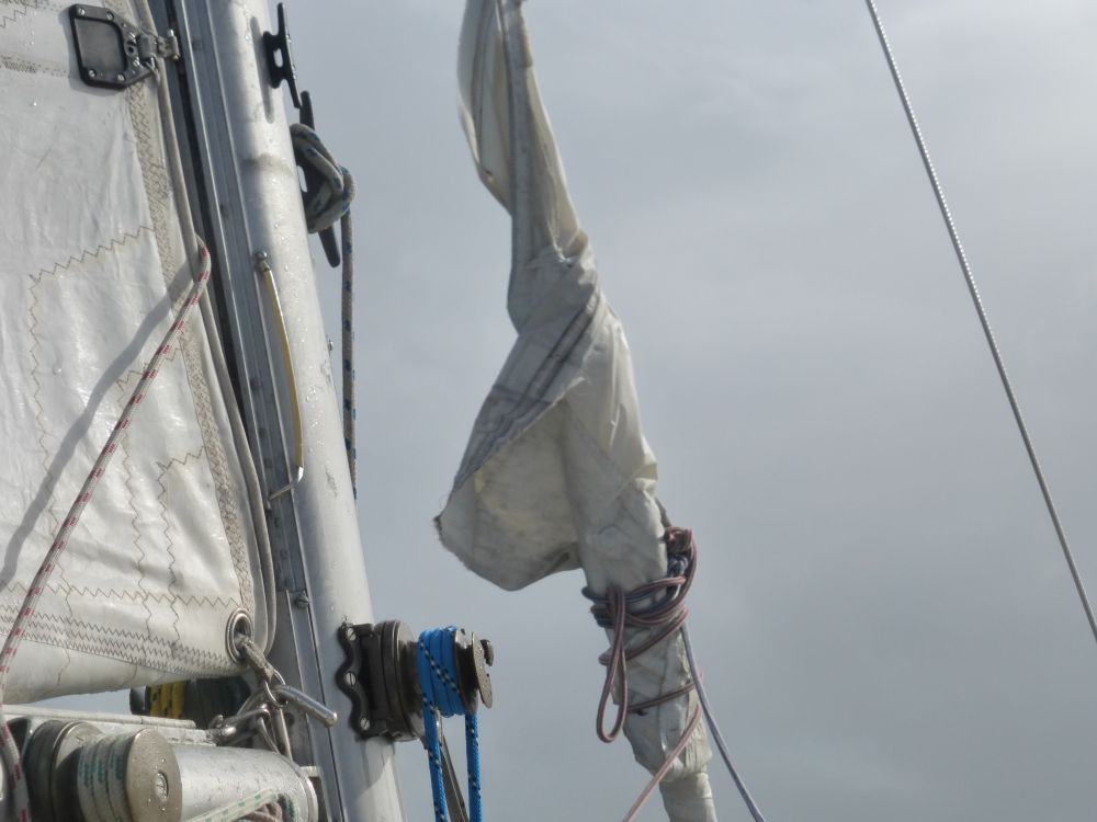 2017 Photo collection