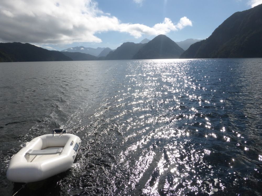 2017 Photo collection