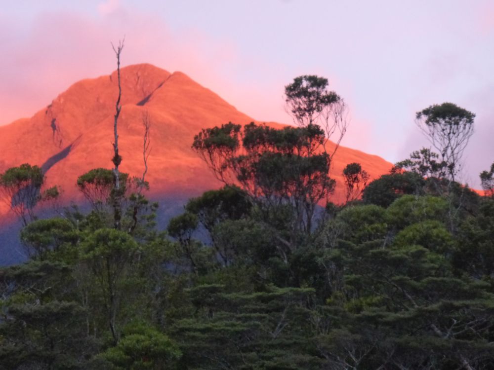 2017 Photo collection