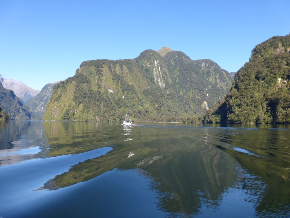 2017 Photo collection