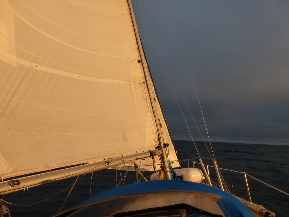 2017 Photo collection