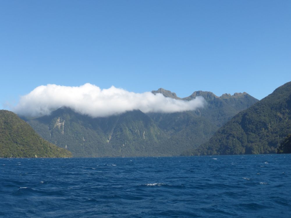 2017 Photo collection