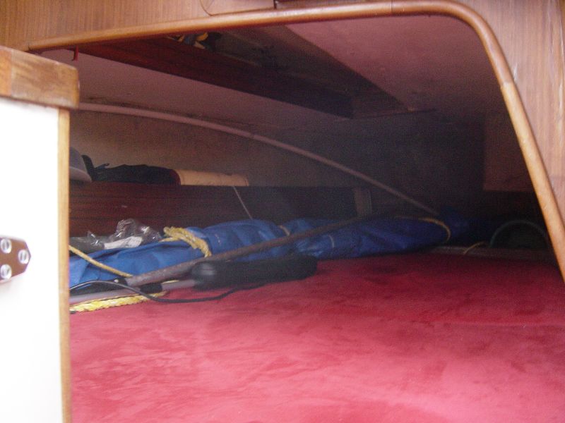 Earliest Photo collection